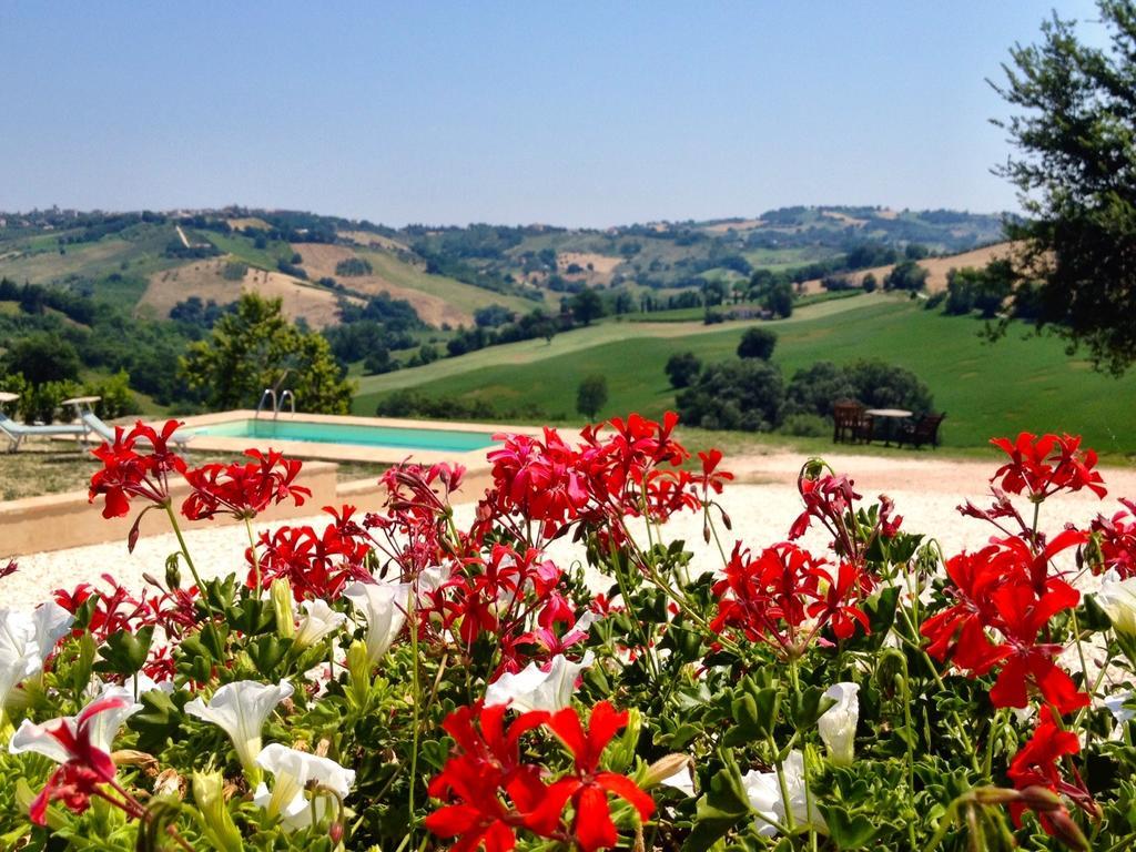 Bed and Breakfast Casale Delle Rondini Толентино Экстерьер фото