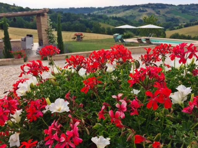 Bed and Breakfast Casale Delle Rondini Толентино Экстерьер фото