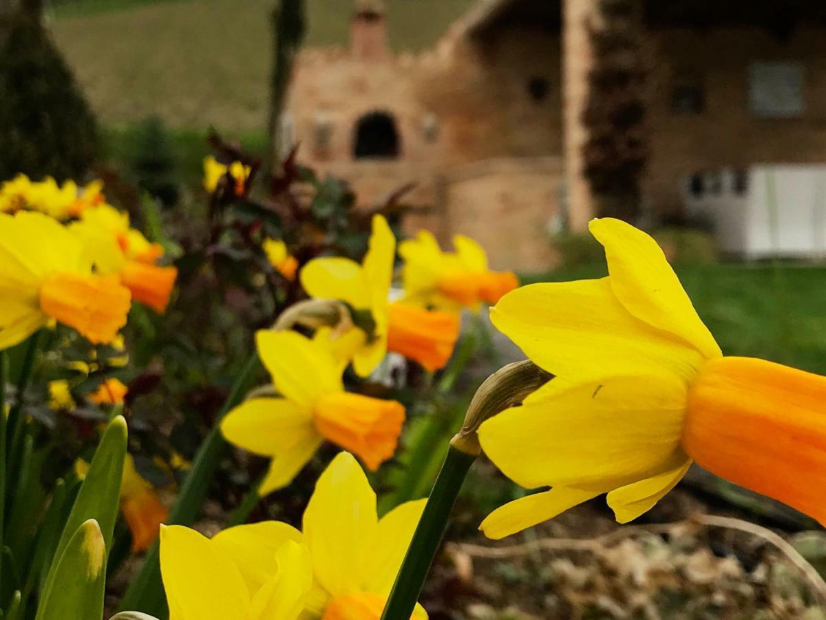 Bed and Breakfast Casale Delle Rondini Толентино Экстерьер фото