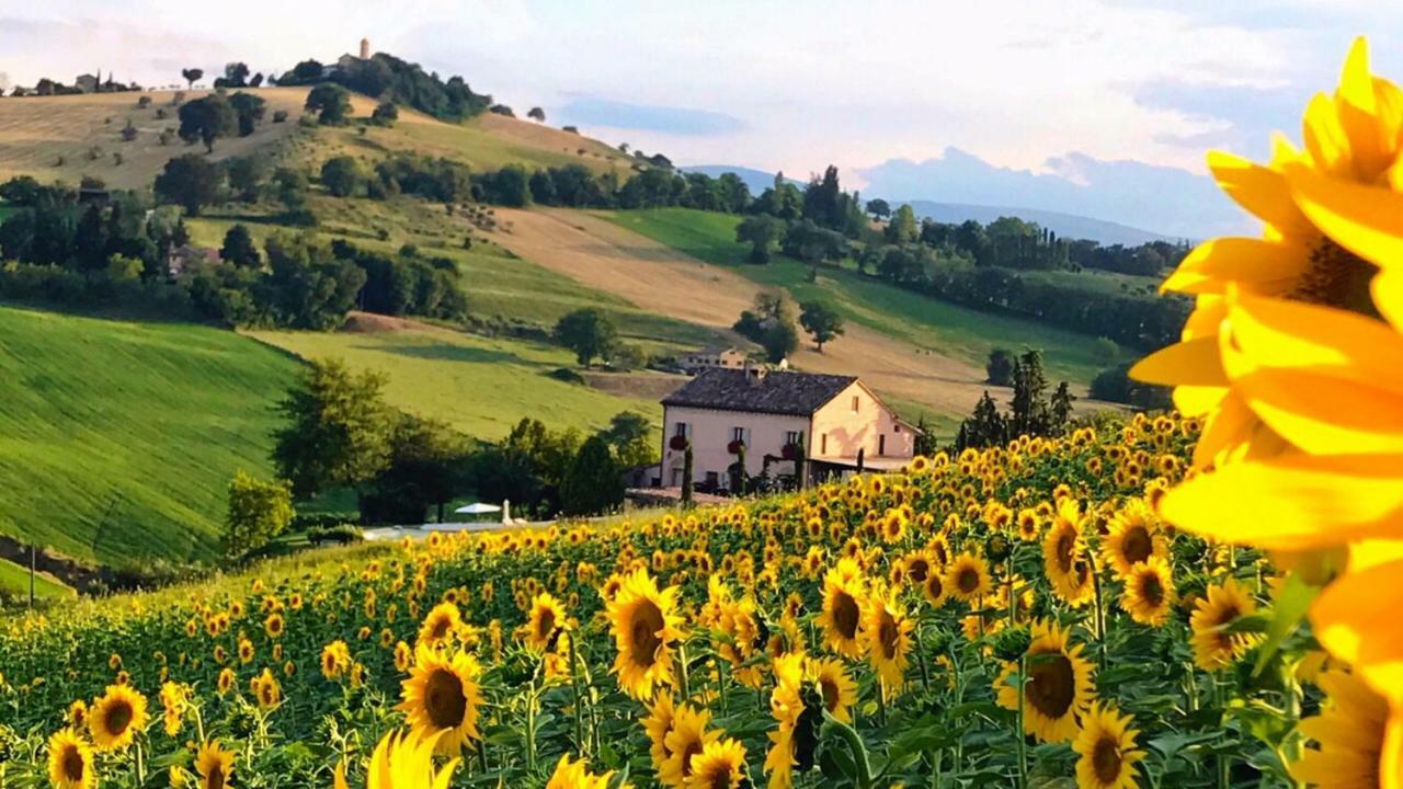 Bed and Breakfast Casale Delle Rondini Толентино Экстерьер фото