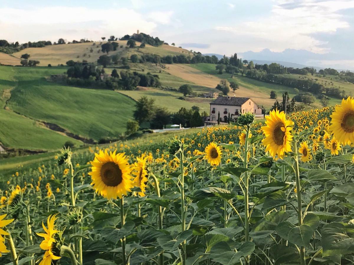 Bed and Breakfast Casale Delle Rondini Толентино Экстерьер фото